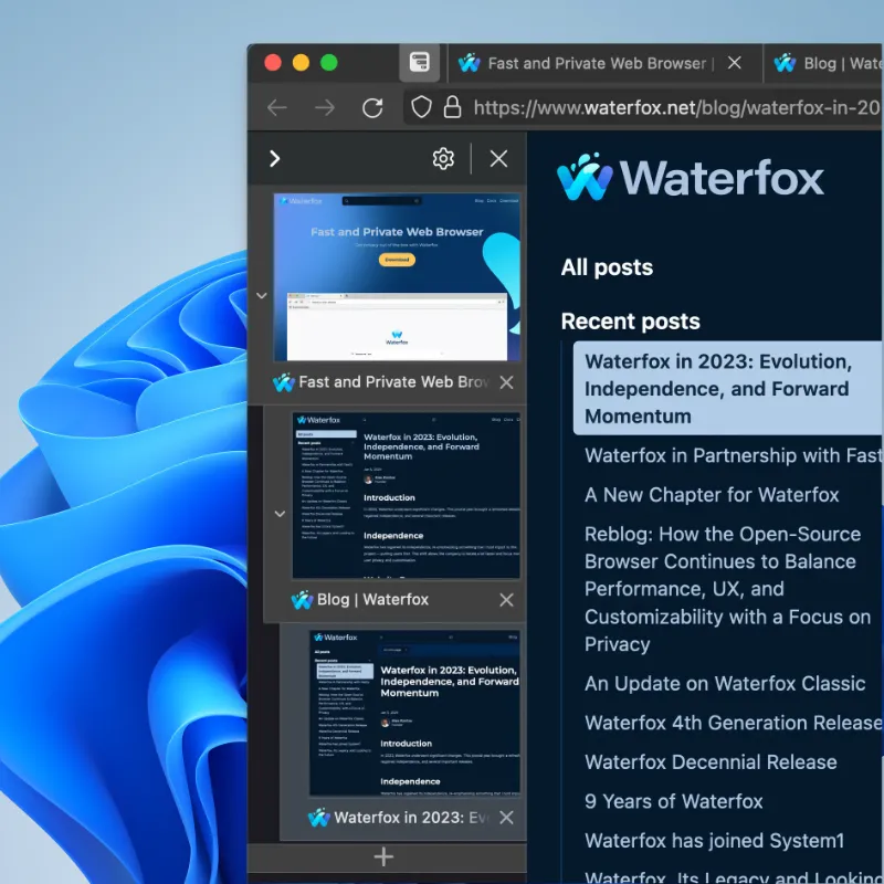워터폭스 다운로드 - Waterfox_01